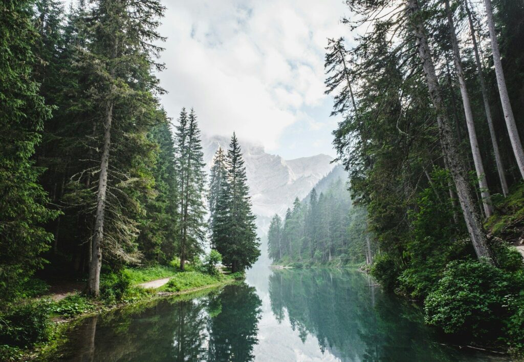 eskw2ayo2as body of water surrounded by pine trees during daytime
